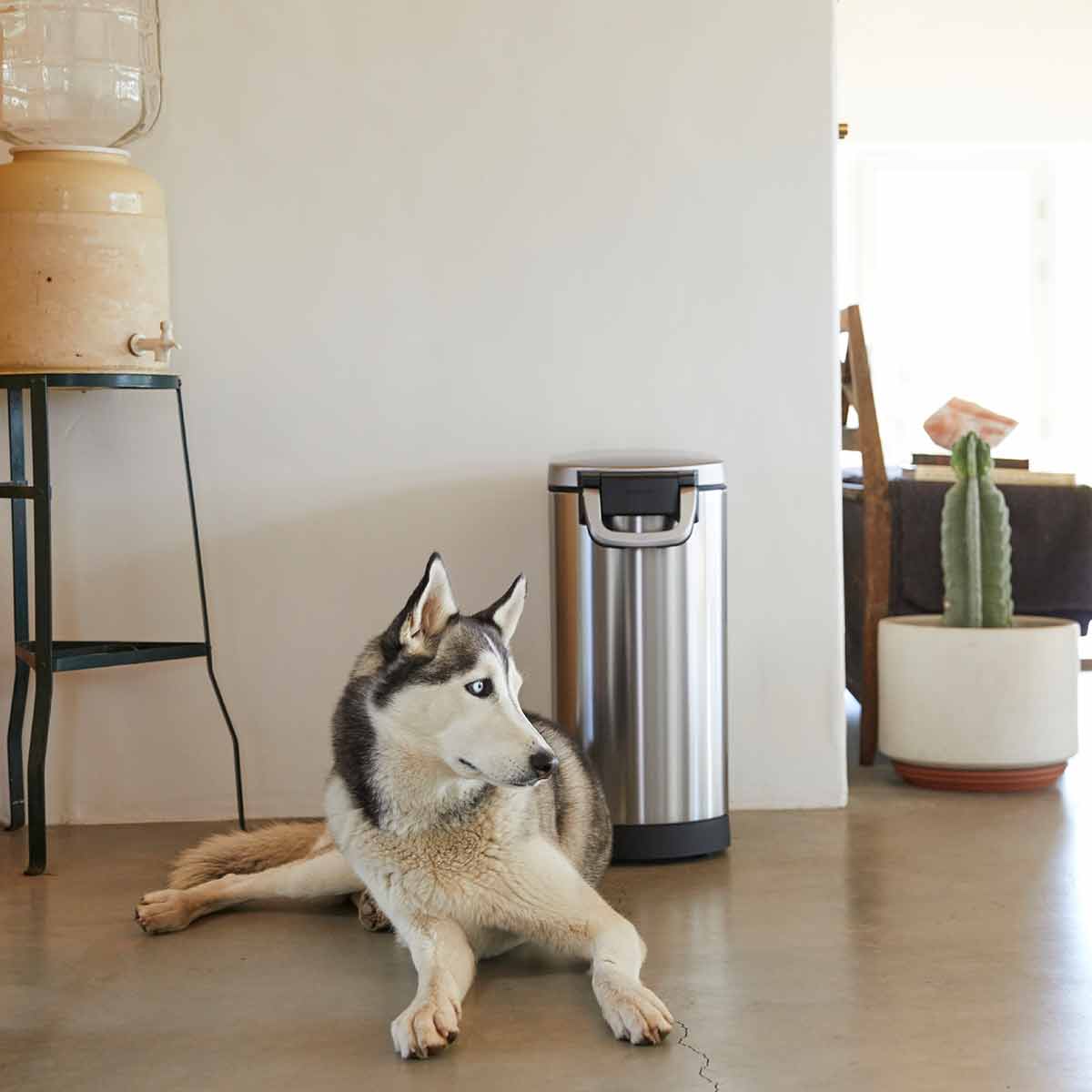Lifestyle shot: Simplehuman Large Pet Food Can, Brushed Stainless Steel, closed next to dog, secure airtight seal.